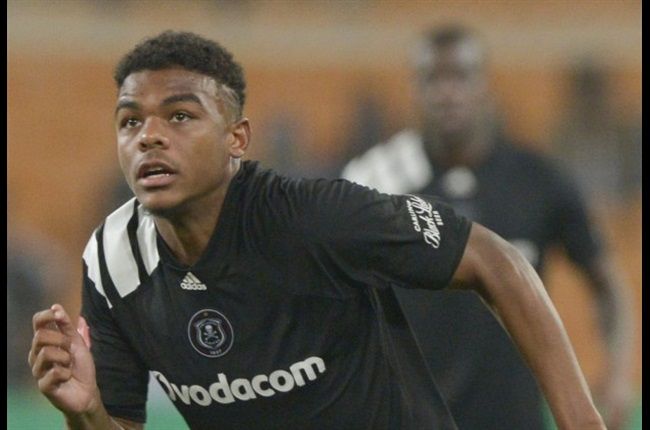 MultiChoice Diski Shield Wrap