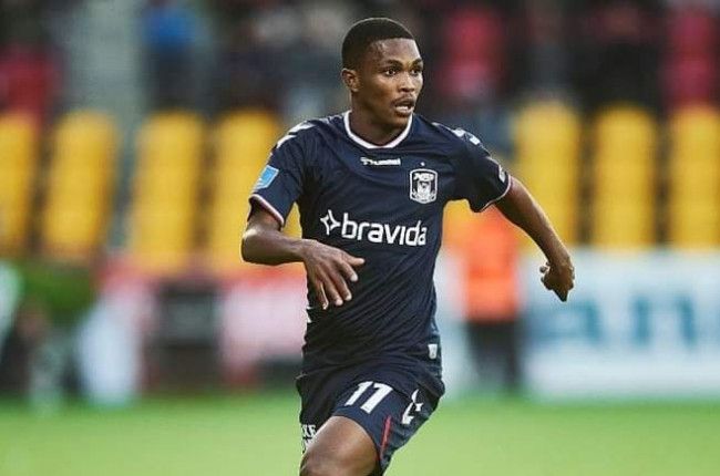 SA Star Produces Another MOTM Display